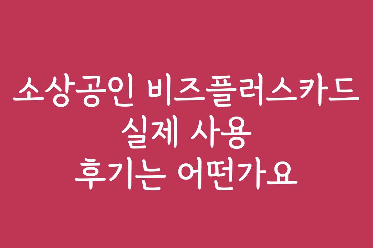 소상공인 비즈플러스카드 실제 사용 후기는 어떤가요