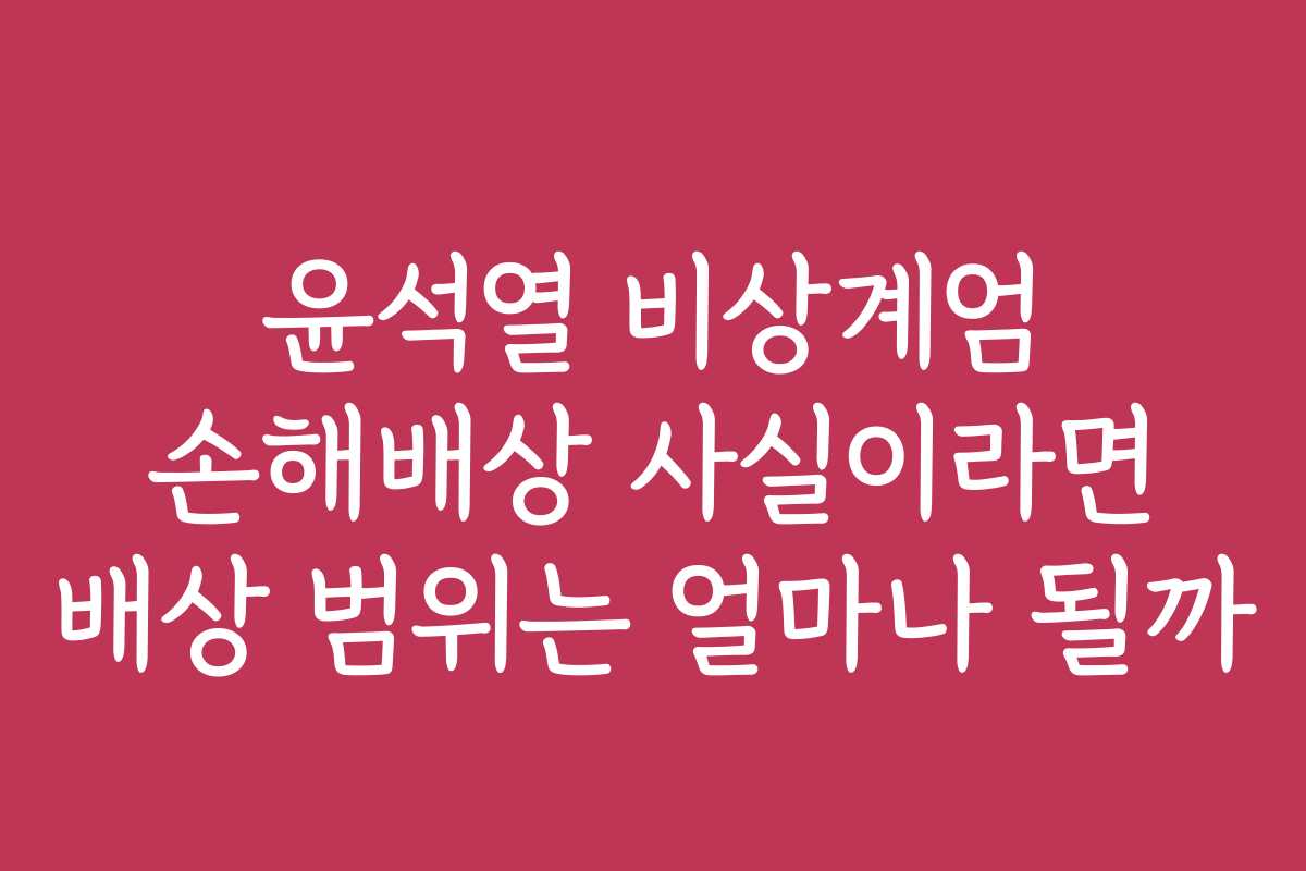 윤석열 비상계엄 손해배상 사실이라면 배상 범위는 얼마나 될까