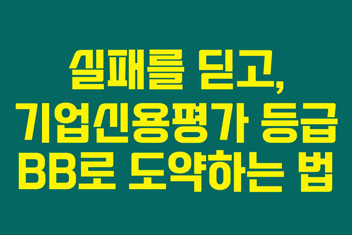 실패를 딛고, 기업신용평가 등급 BB로 도약하는 법