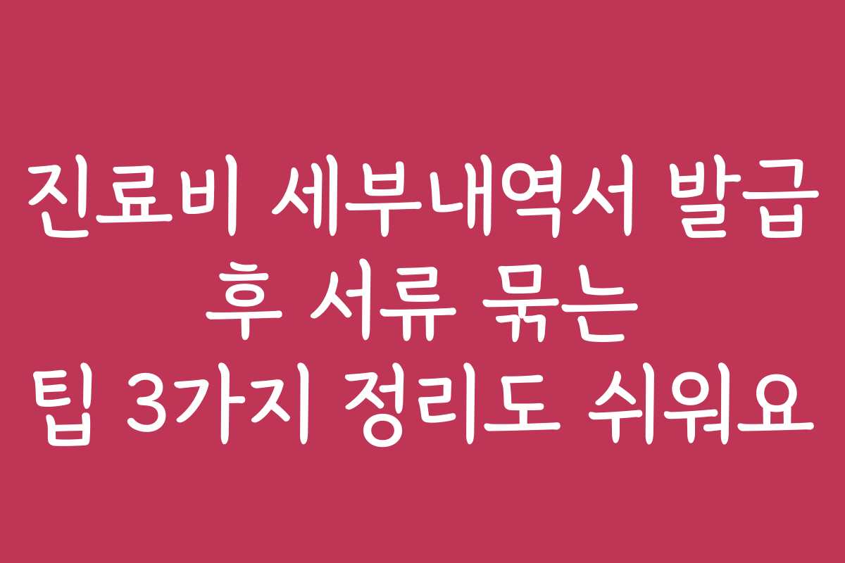 진료비 세부내역서 발급 후 서류 묶는 팁 3가지 정리도 쉬워요