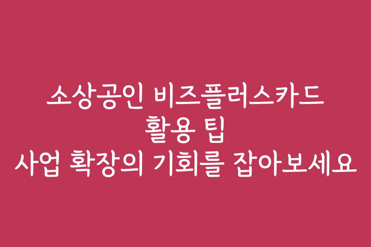 소상공인 비즈플러스카드 활용 팁 사업 확장의 기회를 잡아보세요