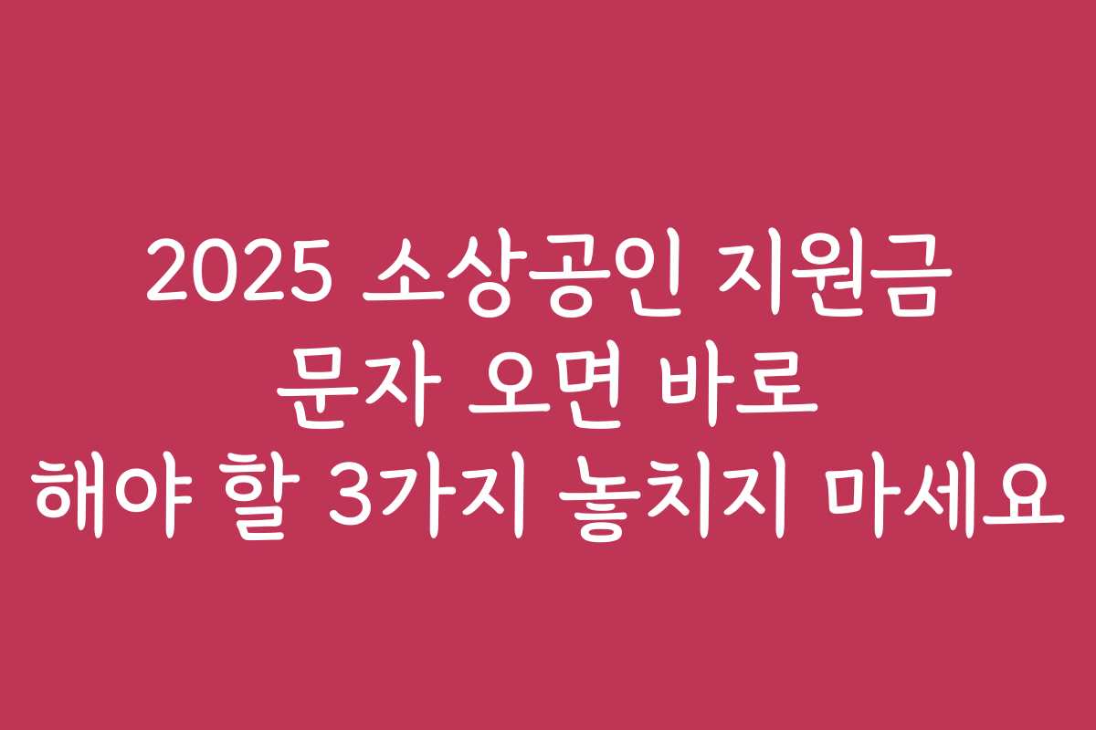 2025 소상공인 지원금 문자 오면 바로 해야 할 3가지 놓치지 마세요