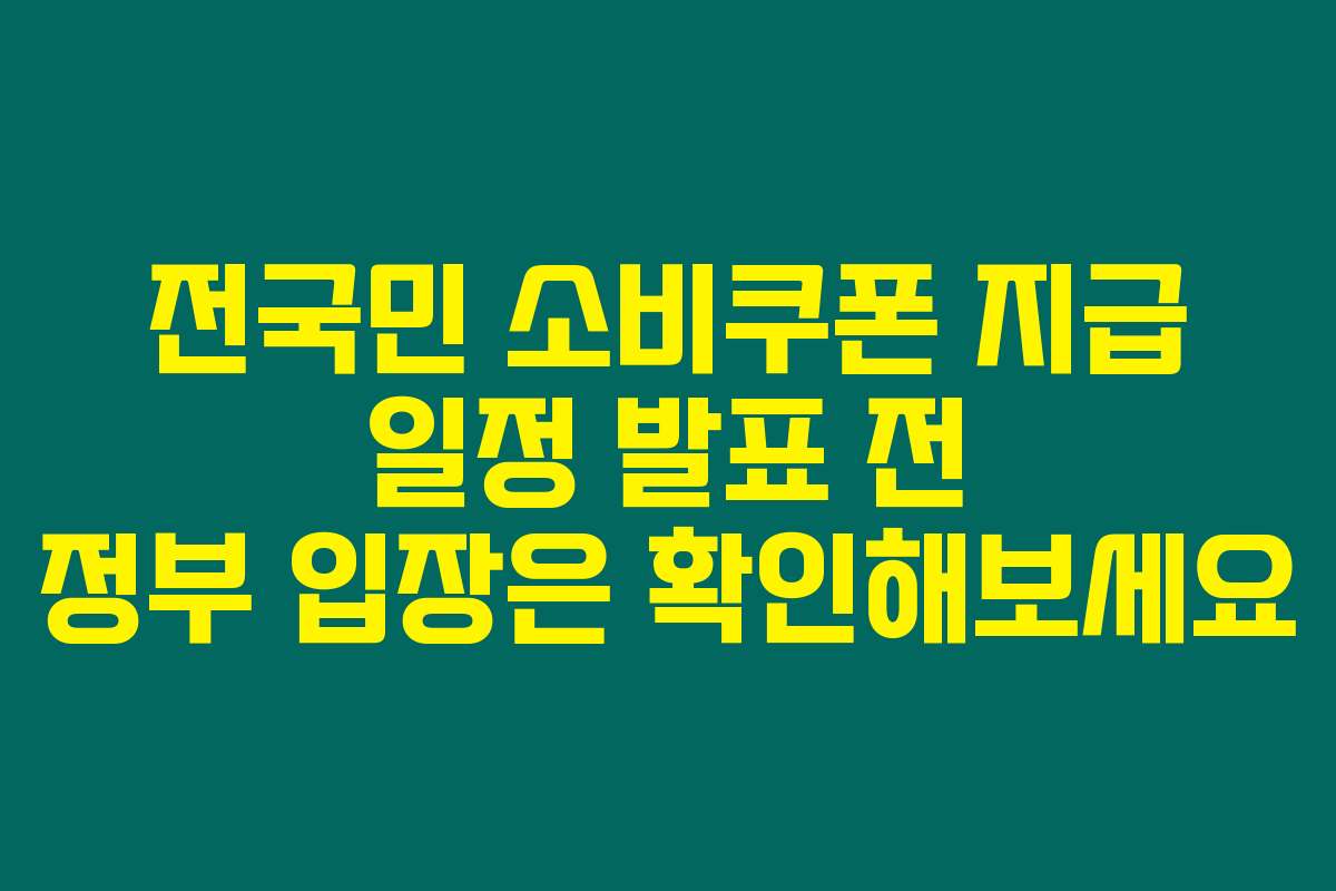 전국민 소비쿠폰 지급 일정 발표 전 정부 입장은 확인해보세요