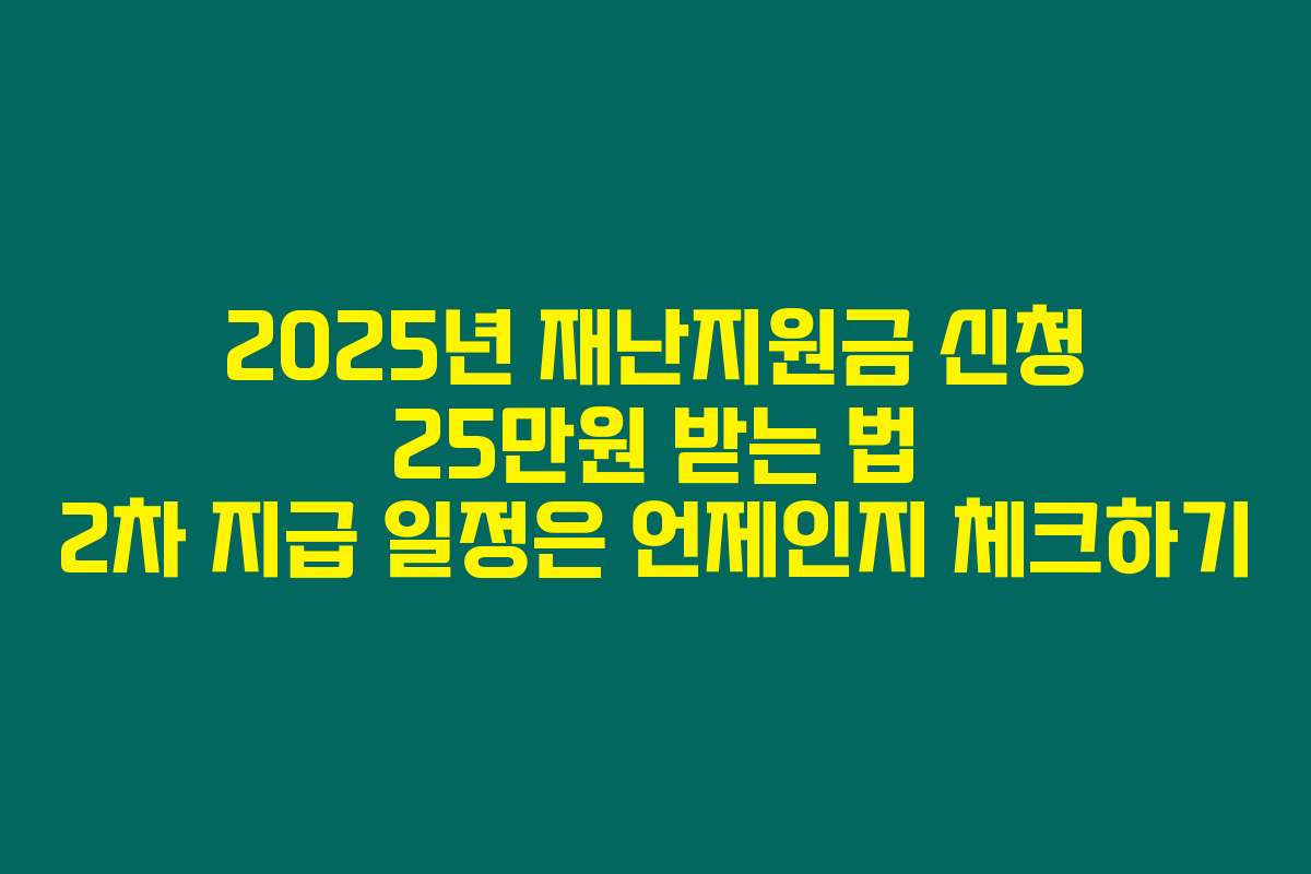 2025년 재난지원금 신청 25만원 받는 법 2차 지급 일정은 언제인지 체크하기