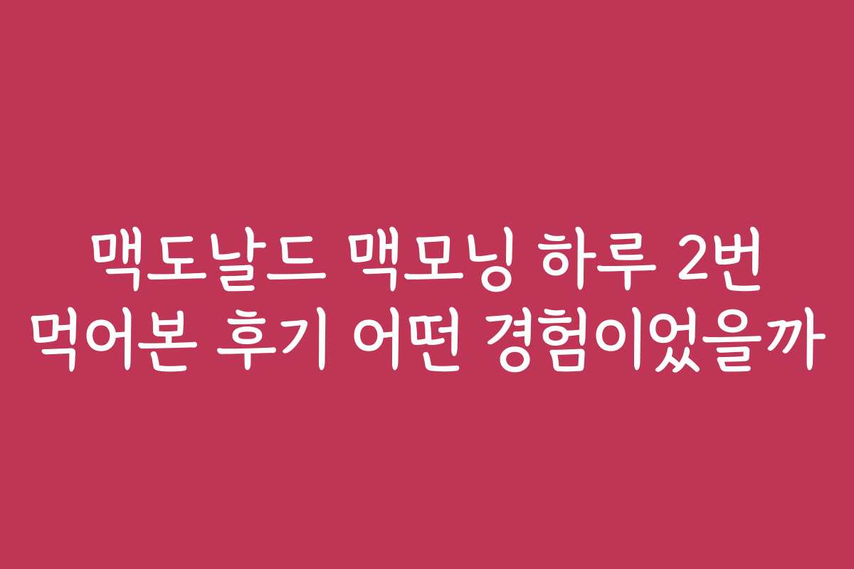 맥도날드 맥모닝 하루 2번 먹어본 후기 어떤 경험이었을까