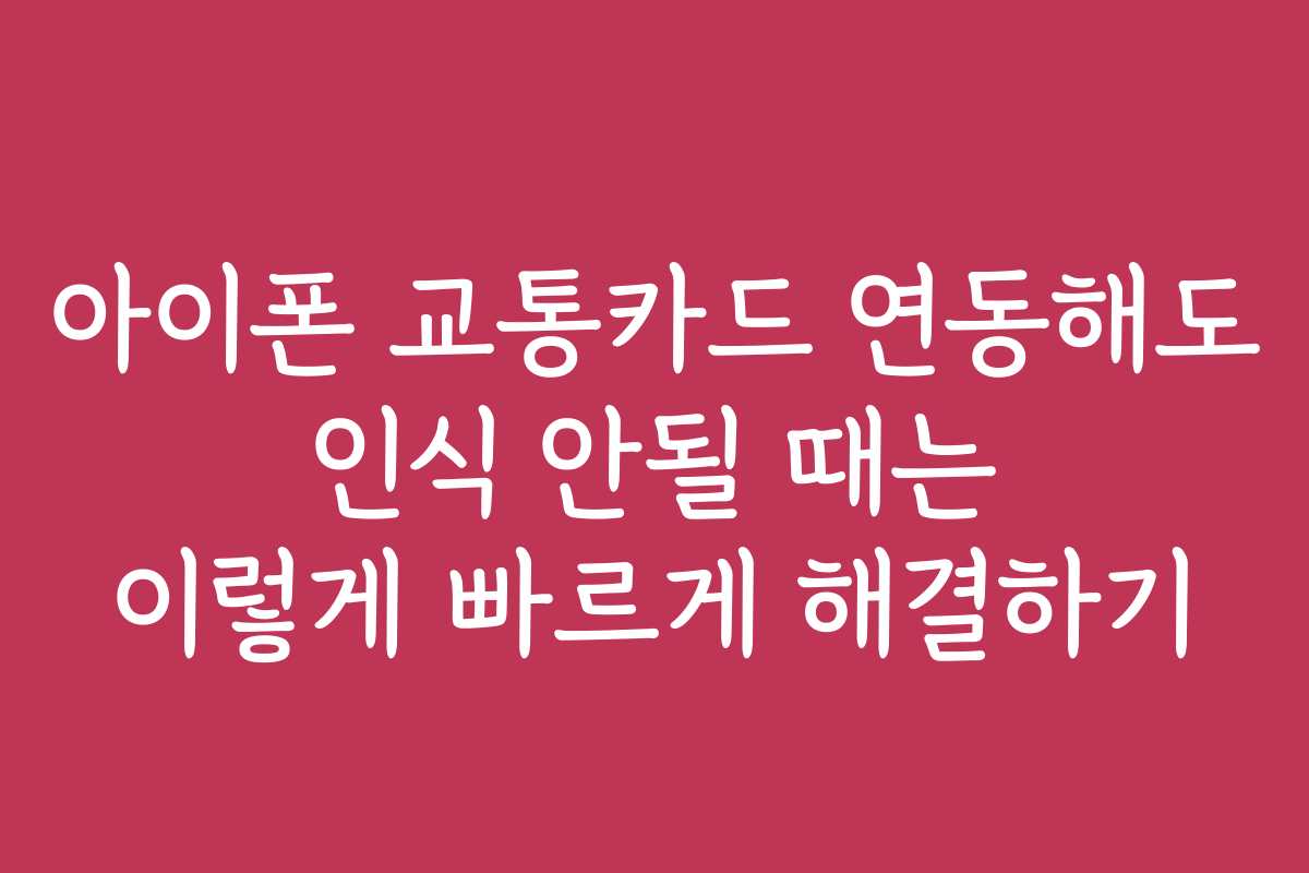아이폰 교통카드 연동해도 인식 안될 때는 이렇게 빠르게 해결하기