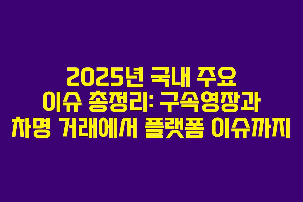 2025년 국내 주요 이슈 총정리: 구속영장과 차명 거래에서 플랫폼 이슈까지