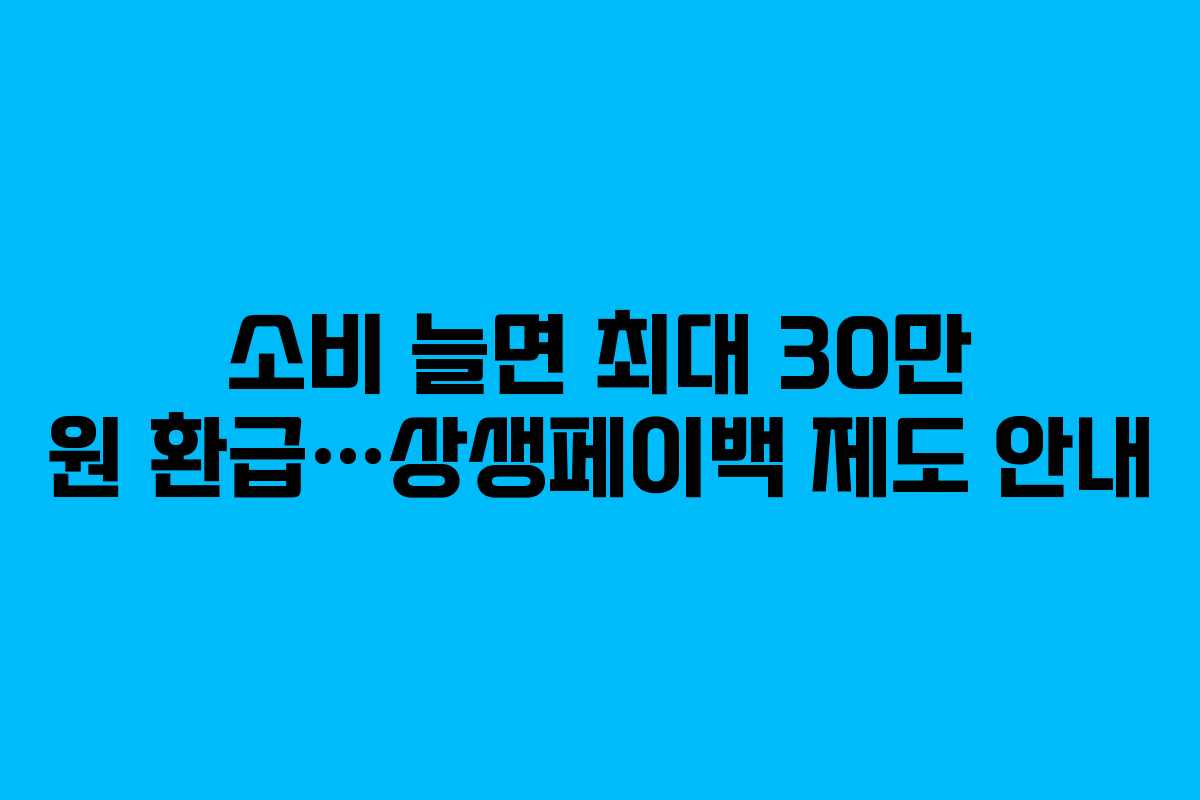 소비 늘면 최대 30만 원 환급…상생페이백 제도 안내
