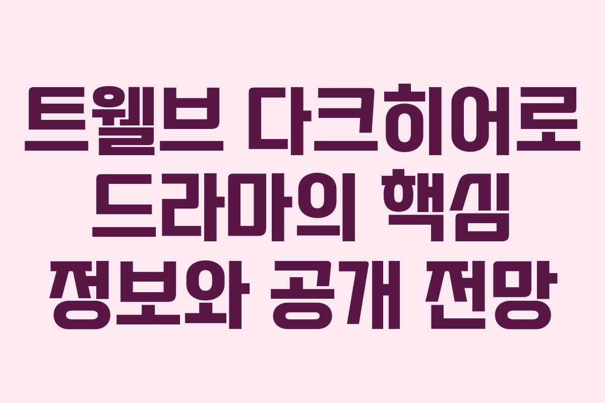트웰브 다크히어로 드라마의 핵심 정보와 공개 전망