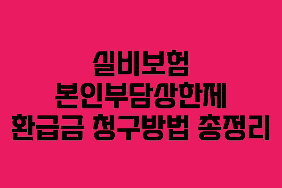 실비보험 본인부담상한제 환급금 청구방법 총정리