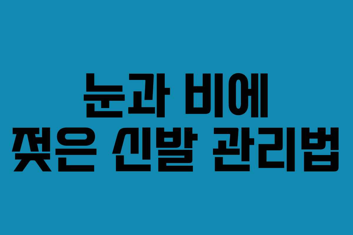 눈과 비에 젖은 신발 관리법