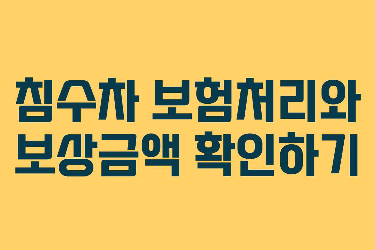 침수차 보험처리와 보상금액 확인하기