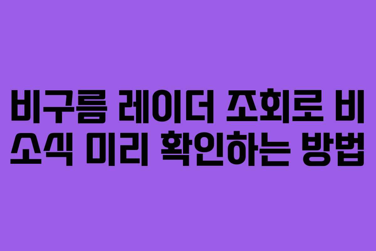 비구름 레이더 조회로 비 소식 미리 확인하는 방법