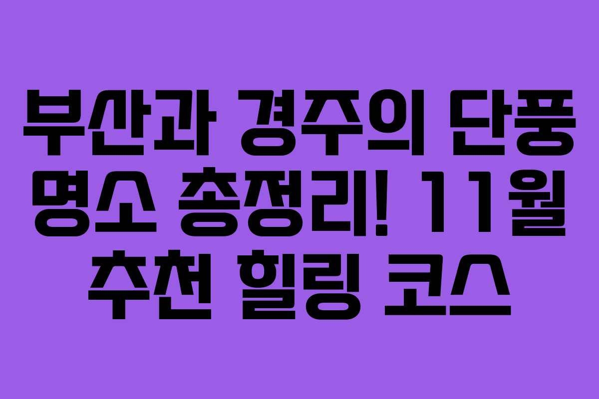 부산과 경주의 단풍 명소 총정리! 11월 추천 힐링 코스