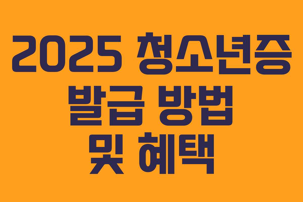 2025 청소년증 발급 방법 및 혜택 2025 청소년증 발급 방법 및 혜택