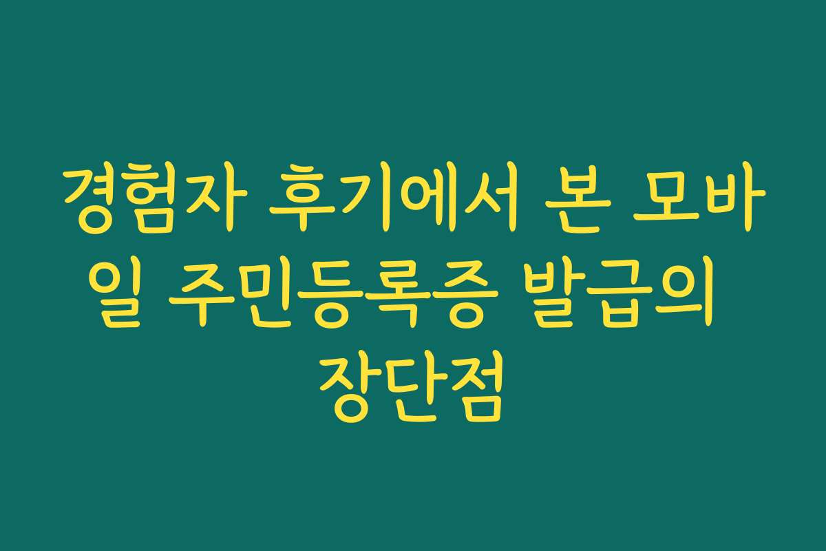 경험자 후기에서 본 모바일 주민등록증 발급의 장단점