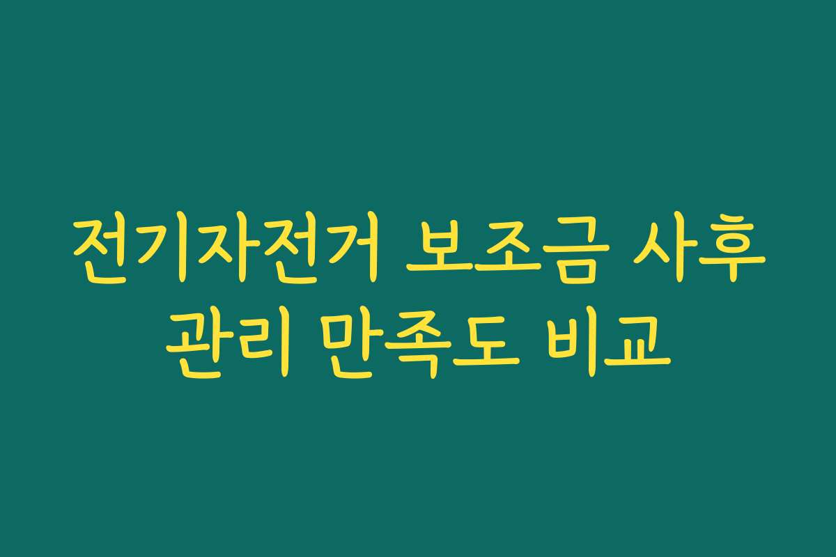 전기자전거 보조금 사후관리 만족도 비교