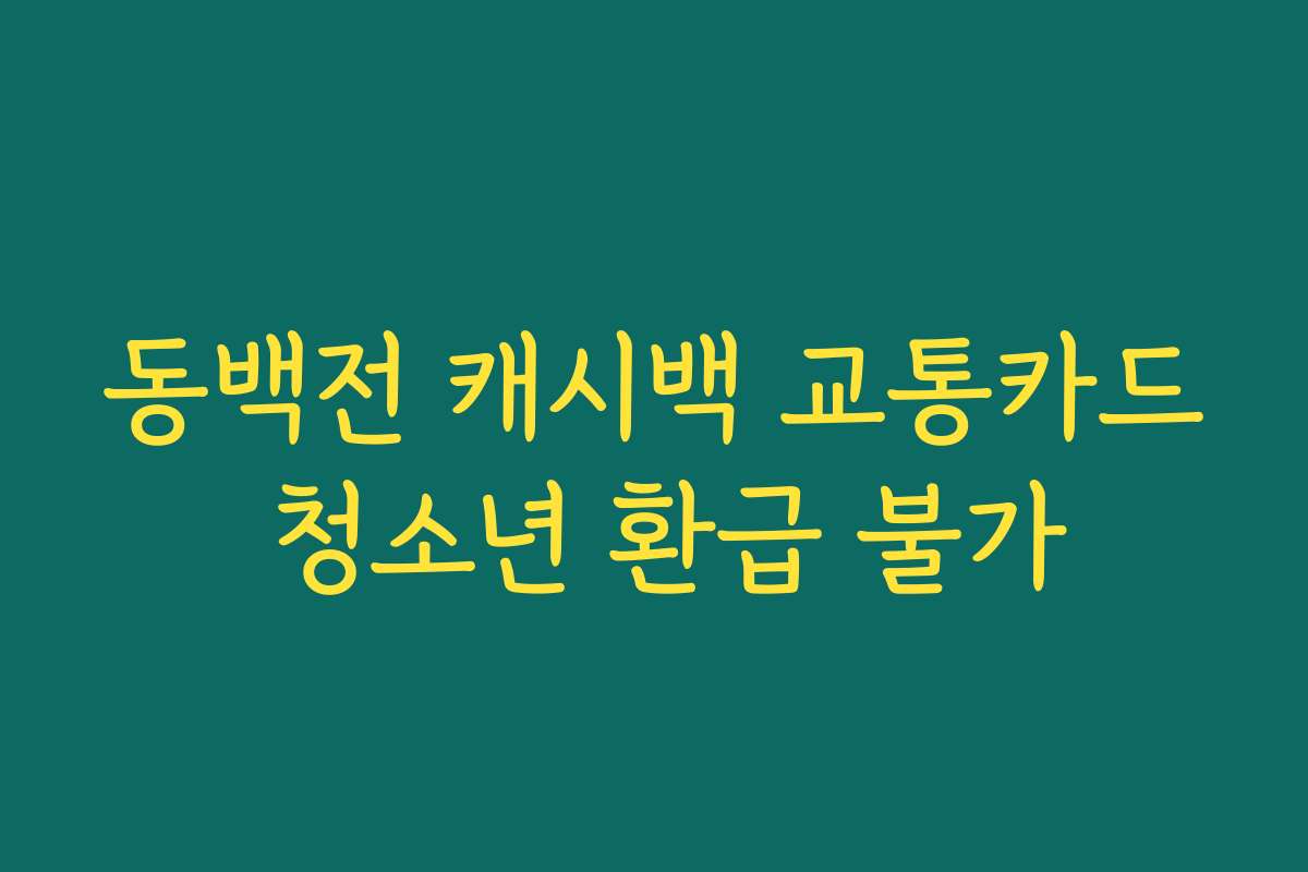 동백전 캐시백 교통카드 청소년 환급 불가 동백전 캐시백 교통카드 청소년 환급 불가