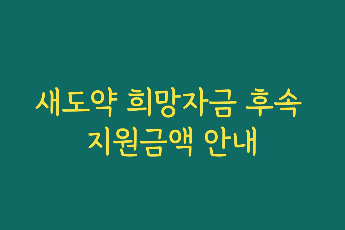 새도약 희망자금 후속 지원금액 안내