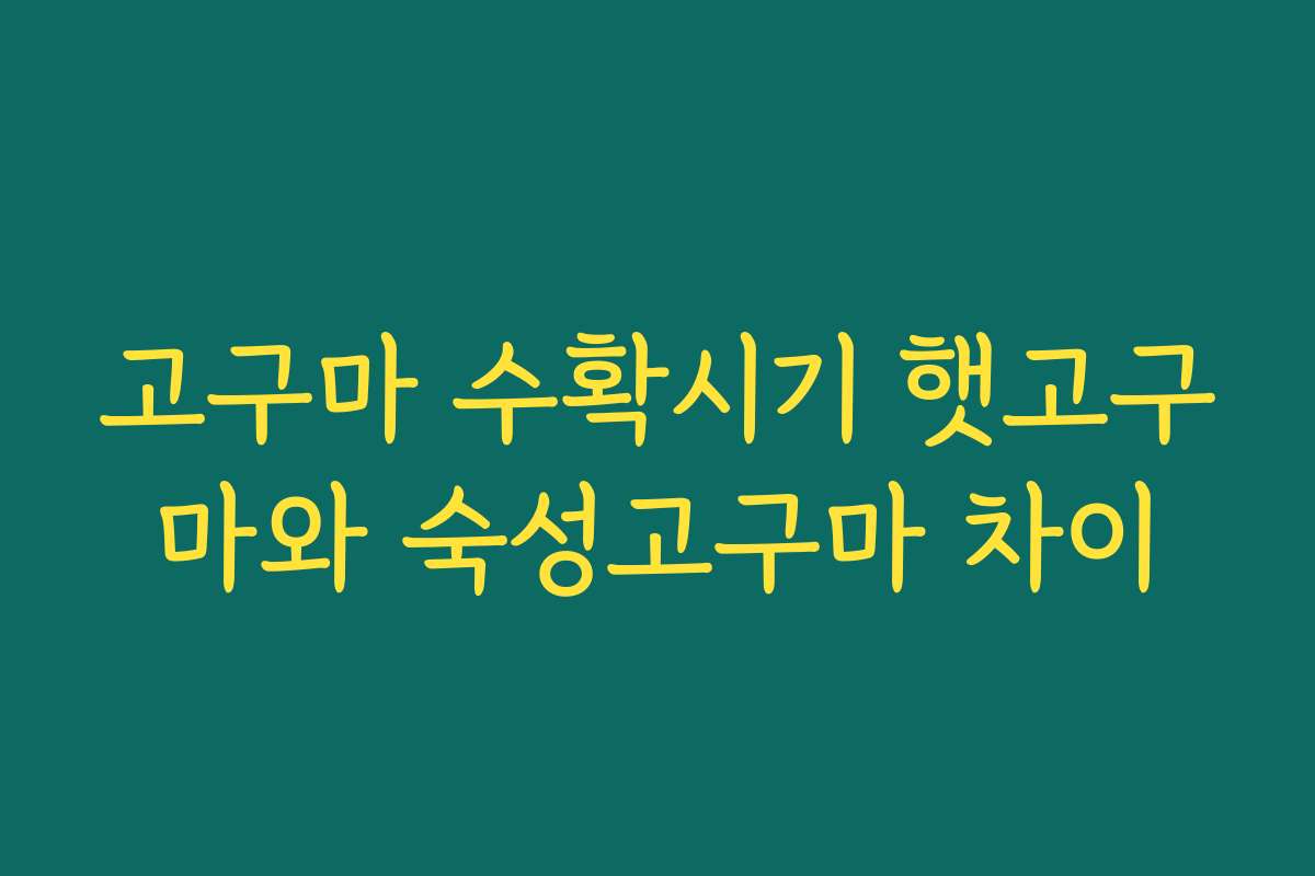 고구마 수확시기 햇고구마와 숙성고구마 차이