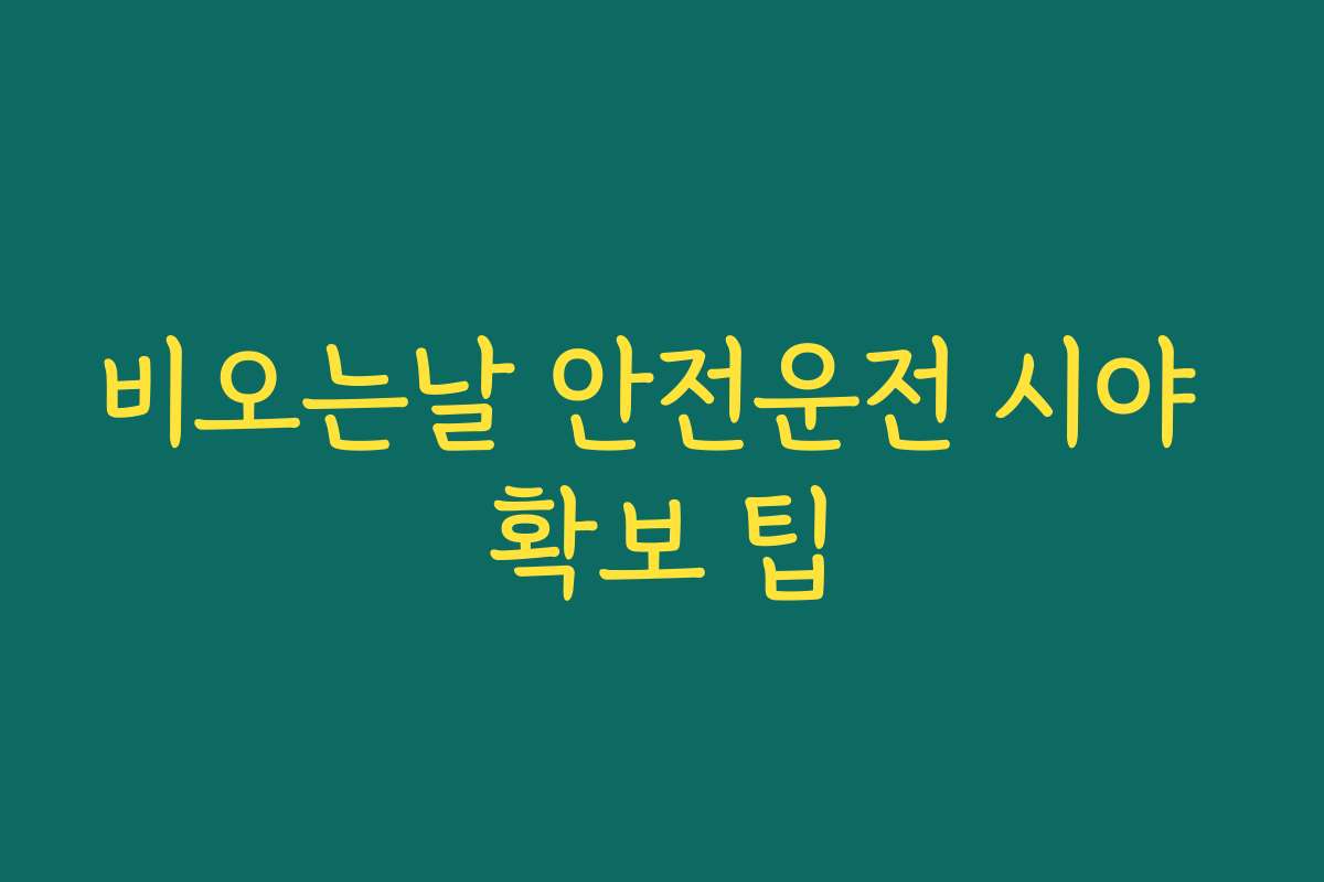 비오는날 안전운전 시야 확보 팁