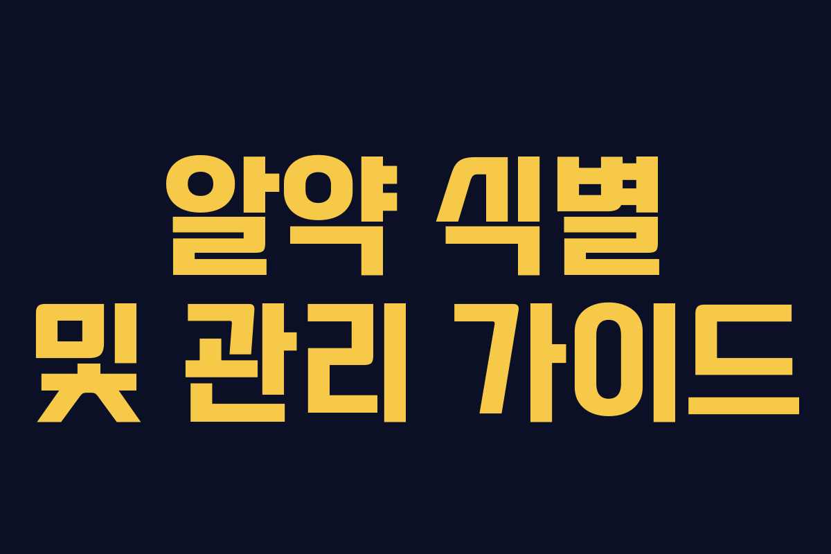 알약 식별 및 관리 가이드 알약 식별 및 관리 가이드