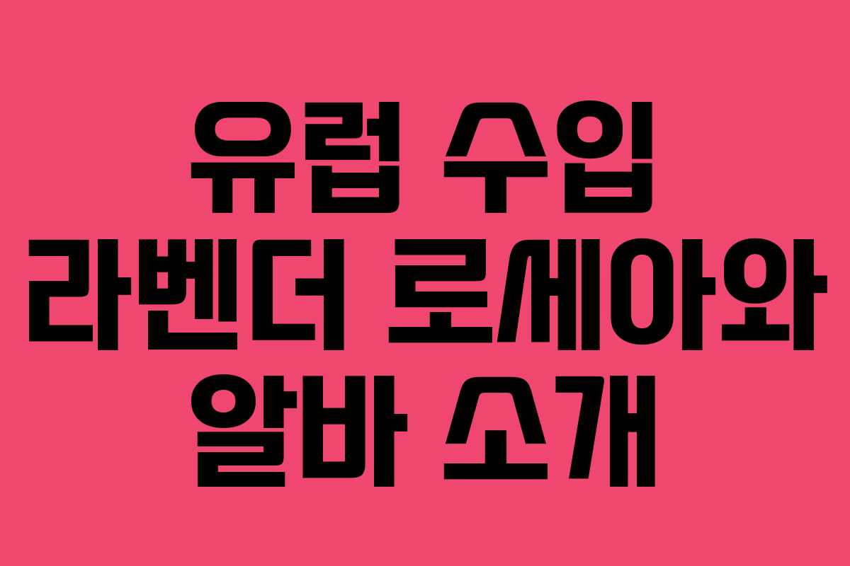 유럽 수입 라벤더 로세아와 알바 소개