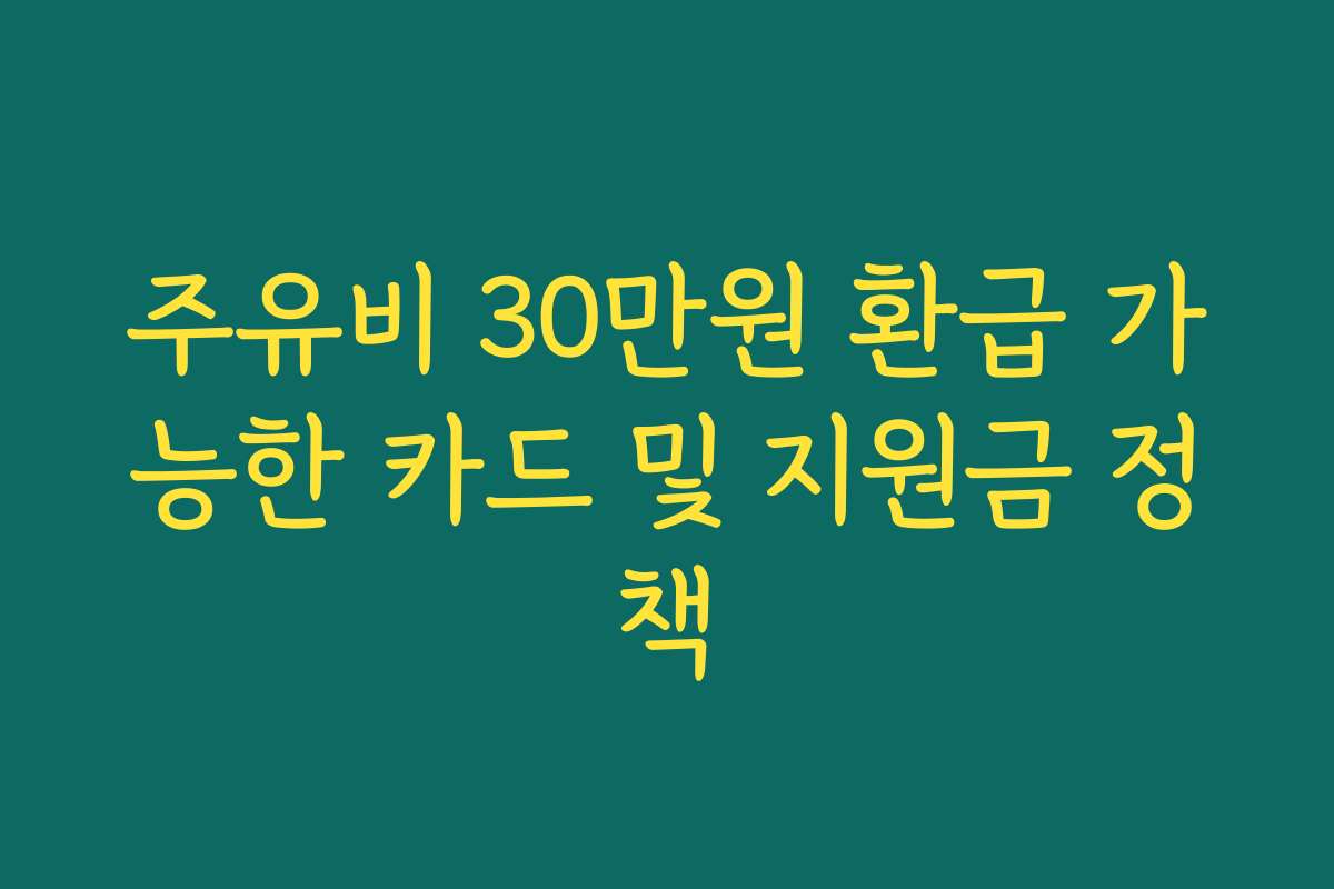 주유비 30만원 환급 가능한 카드 및 지원금 정책