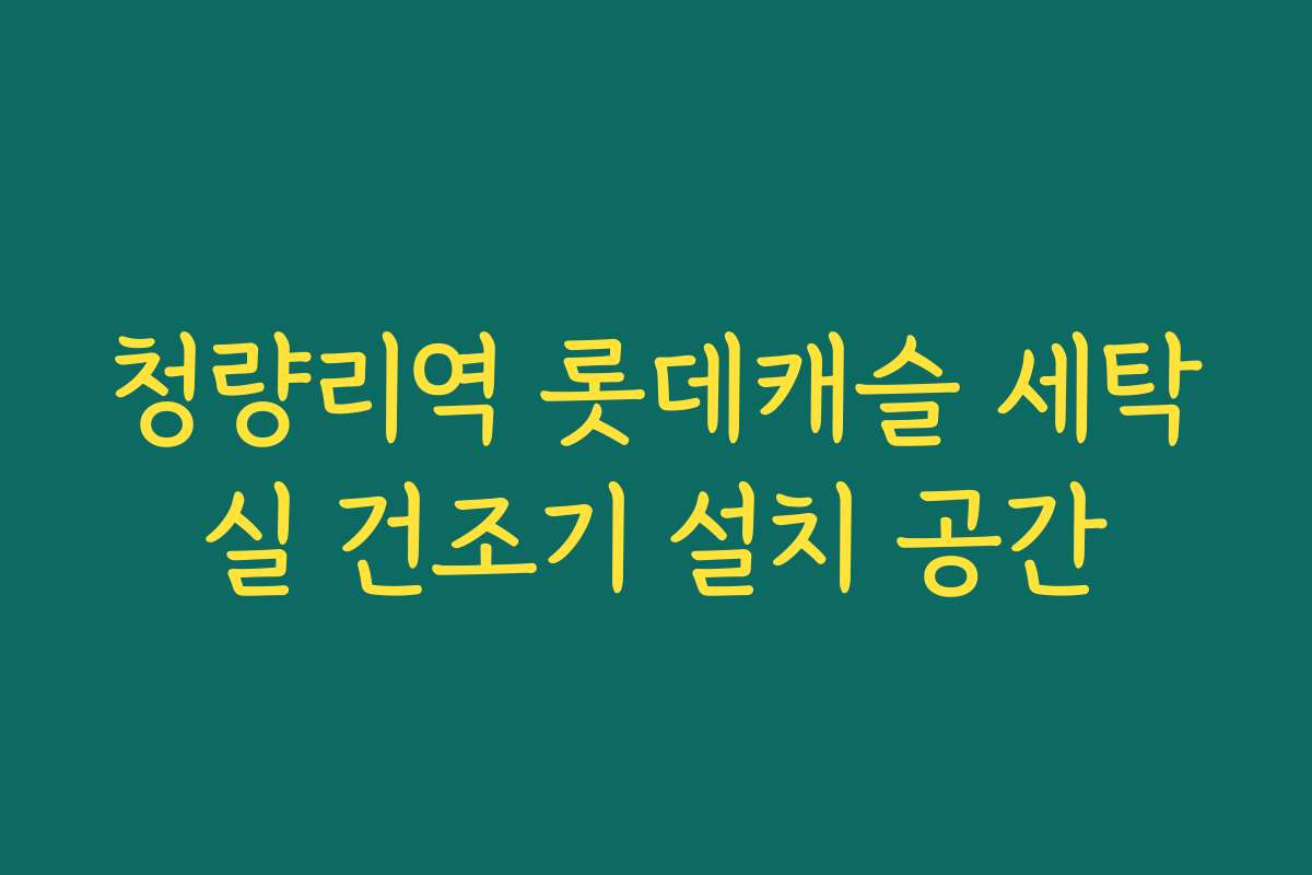 청량리역 롯데캐슬 세탁실 건조기 설치 공간