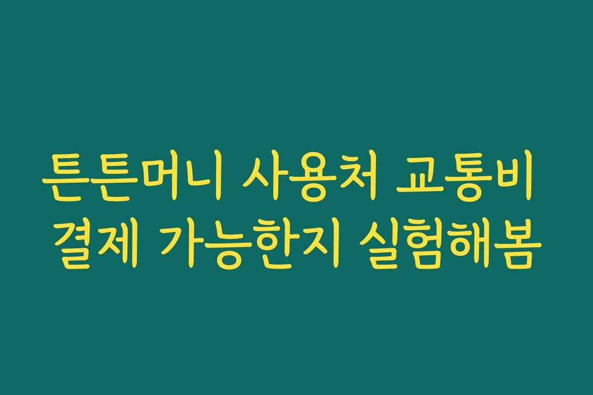 튼튼머니 사용처 교통비 결제 가능한지 실험해봄