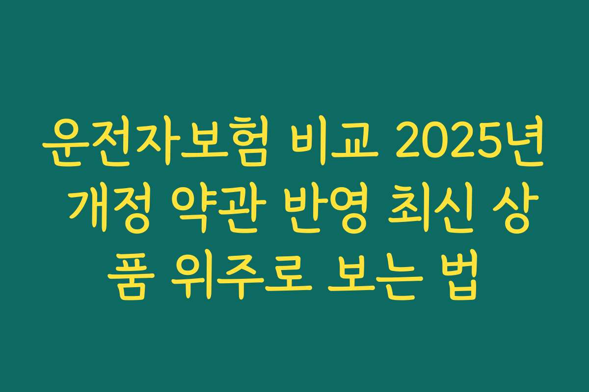 운전자보험 비교 2025년 개정 약관 반영 최신 상품 위주로 보는 법