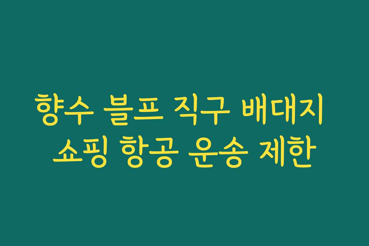 향수 블프 직구 배대지 쇼핑 항공 운송 제한