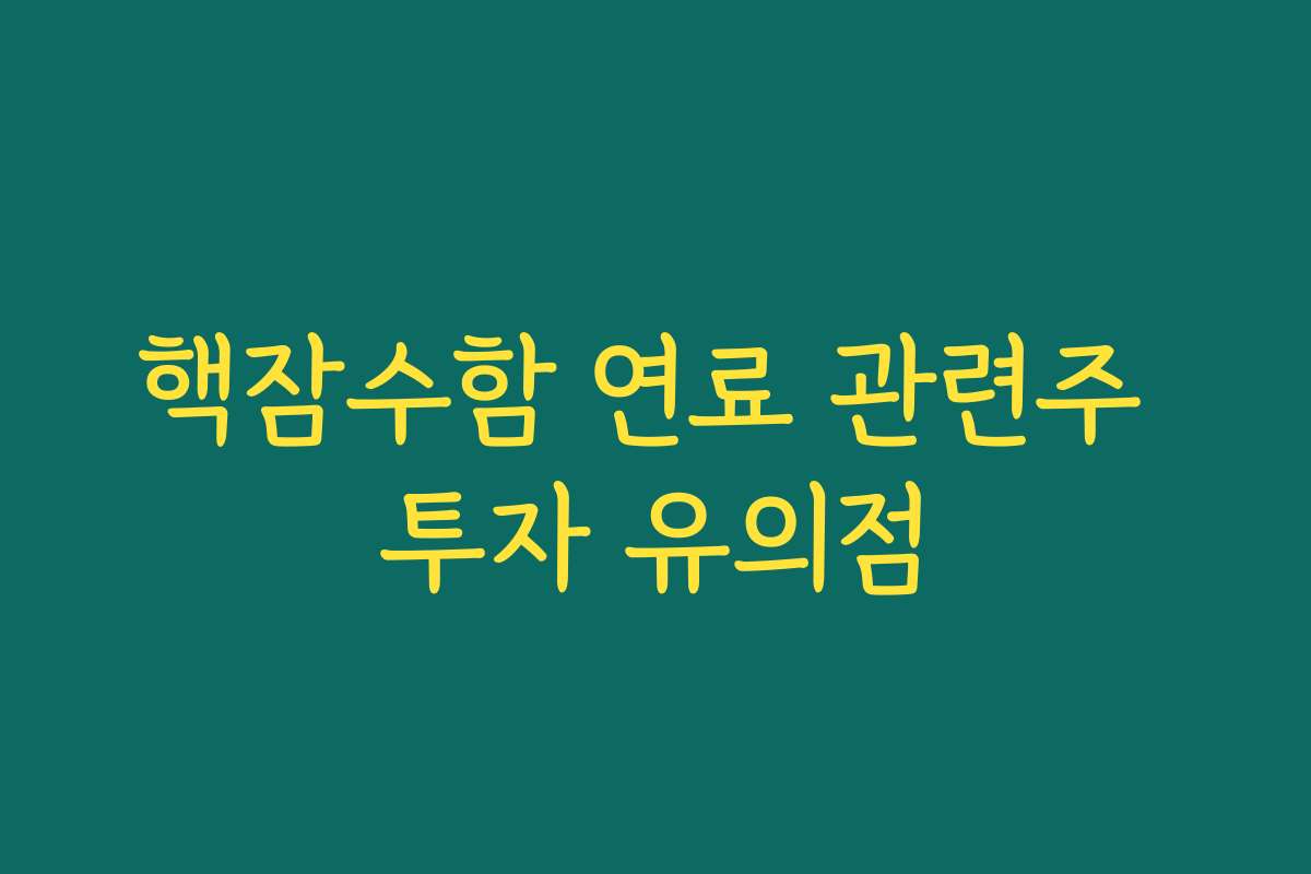 핵잠수함 연료 관련주 투자 유의점