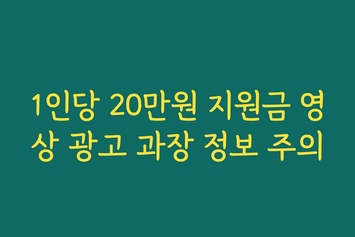 1인당 20만원 지원금 영상 광고 과장 정보 주의