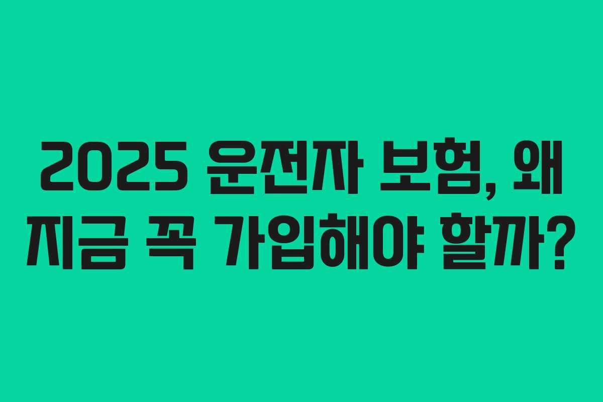 2025 운전자 보험, 왜 지금 꼭 가입해야 할까?