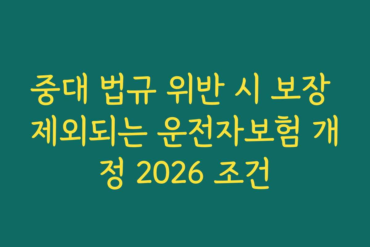 중대 법규 위반 시 보장 제외되는 운전자보험 개정 2026 조건