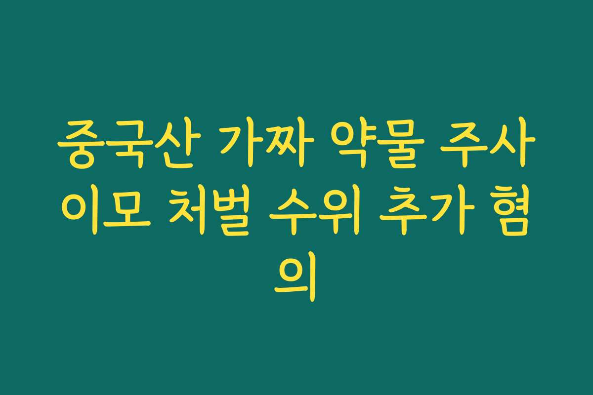 중국산 가짜 약물 주사이모 처벌 수위 추가 혐의