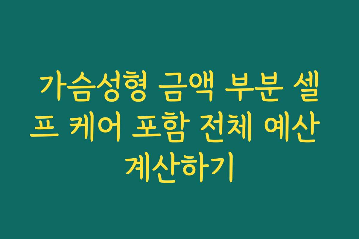 가슴성형 금액 부분 셀프 케어 포함 전체 예산 계산하기
