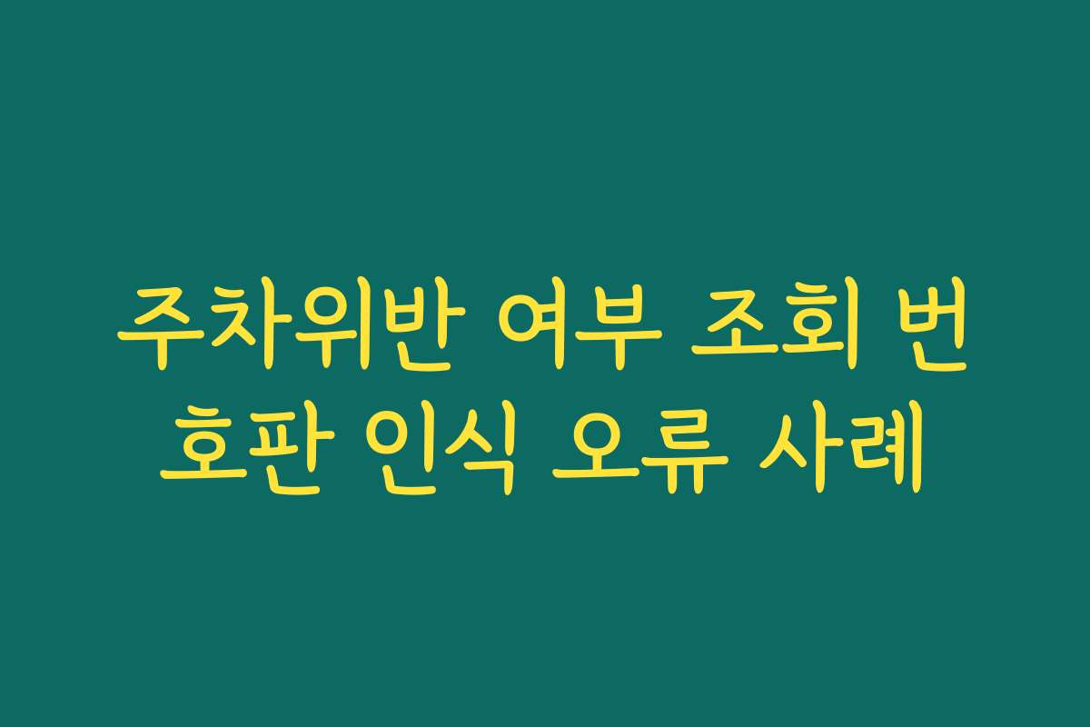 주차위반 여부 조회 번호판 인식 오류 사례