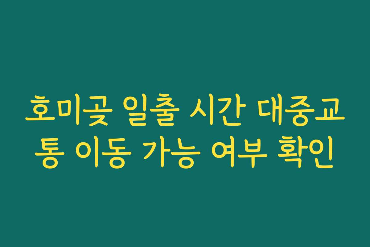 호미곶 일출 시간 대중교통 이동 가능 여부 확인