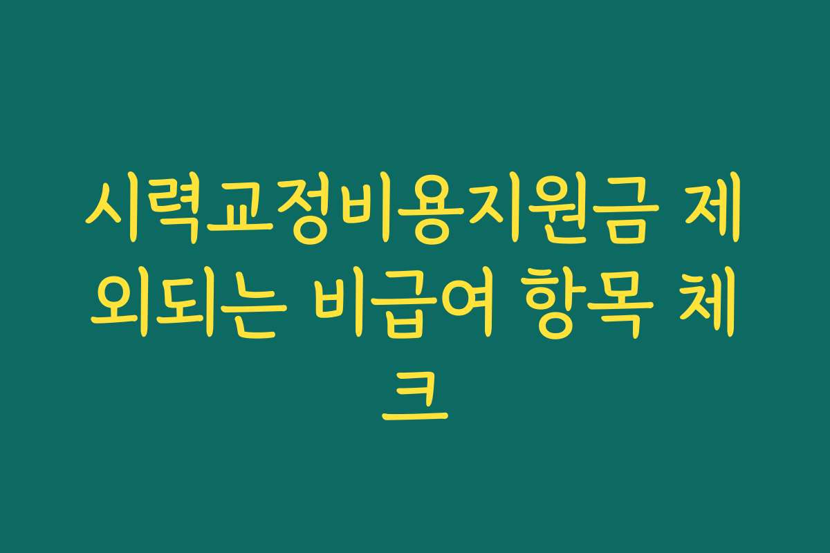 시력교정비용지원금 제외되는 비급여 항목 체크