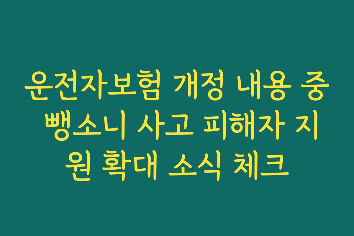 운전자보험 개정 내용 중 뺑소니 사고 피해자 지원 확대 소식 체크