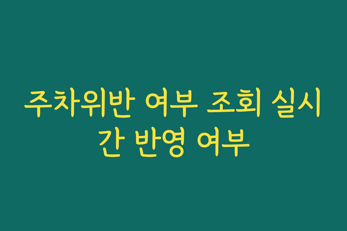 주차위반 여부 조회 실시간 반영 여부