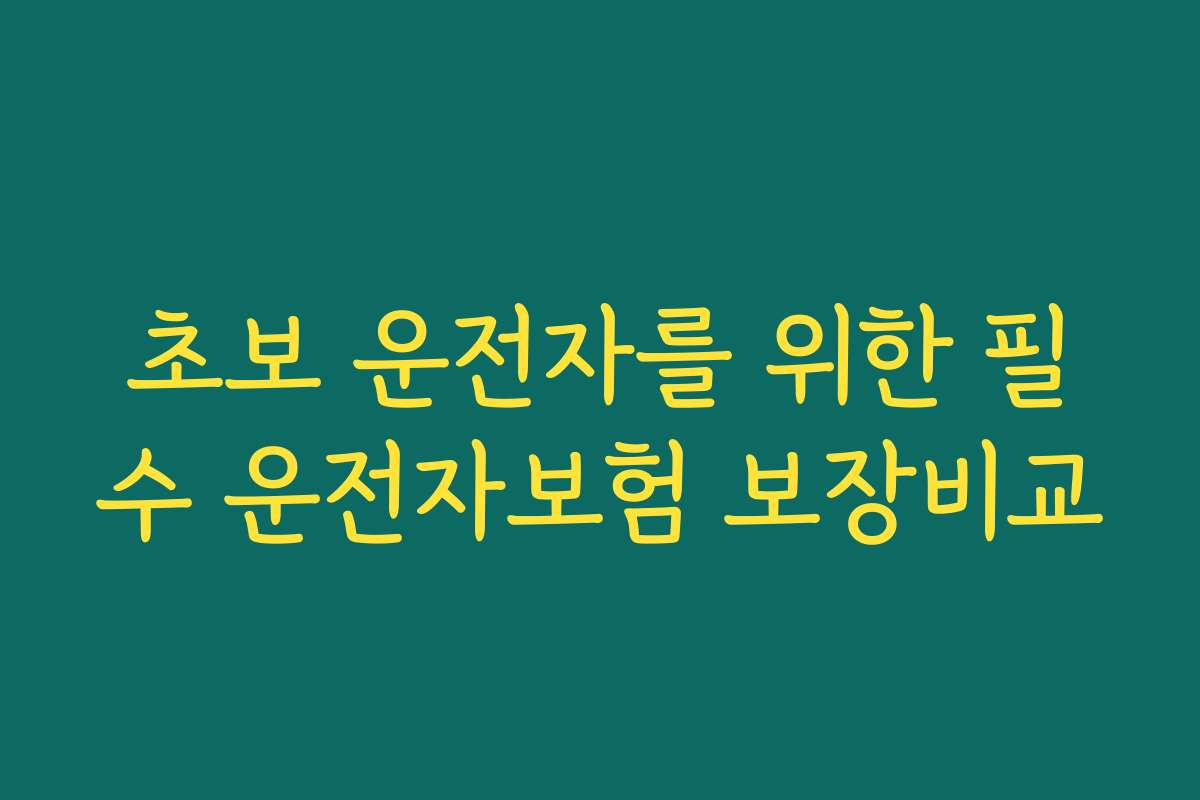 초보 운전자를 위한 필수 운전자보험 보장비교