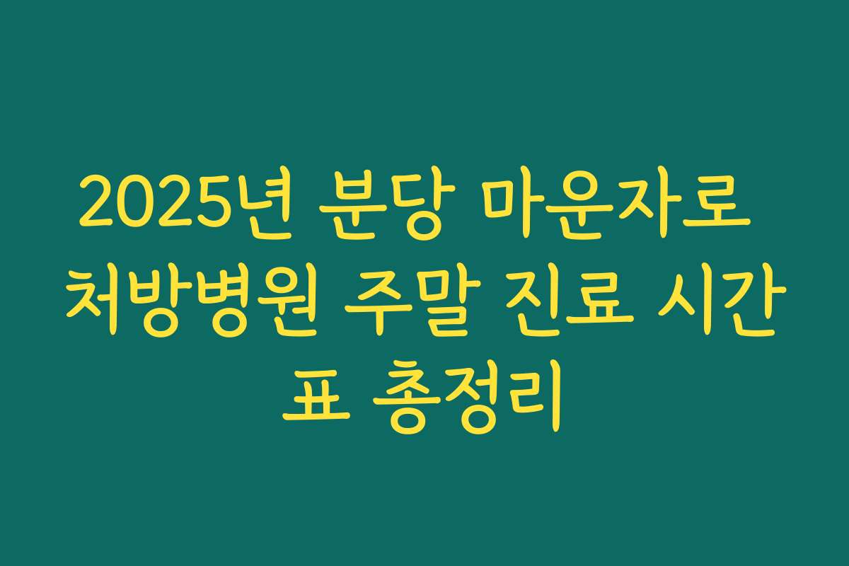 2025년 분당 마운자로 처방병원 주말 진료 시간표 총정리