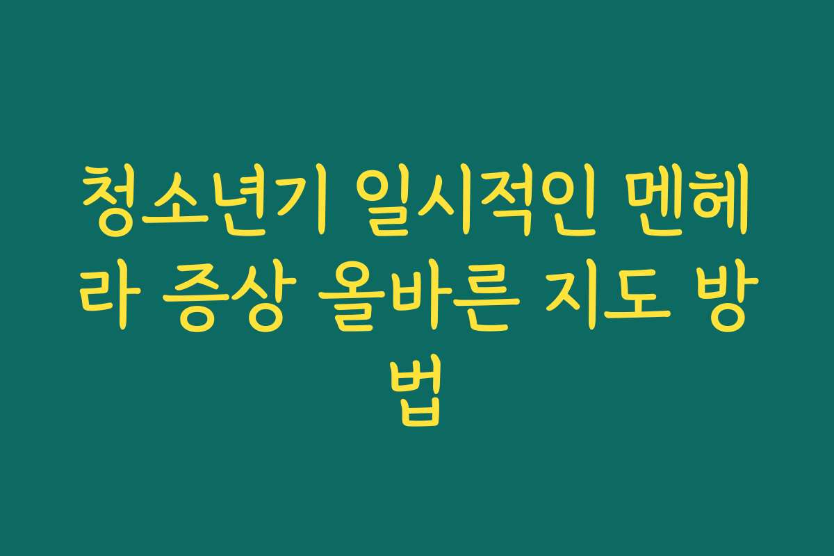 청소년기 일시적인 멘헤라 증상 올바른 지도 방법