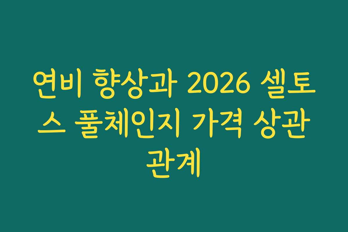 연비 향상과 2026 셀토스 풀체인지 가격 상관관계