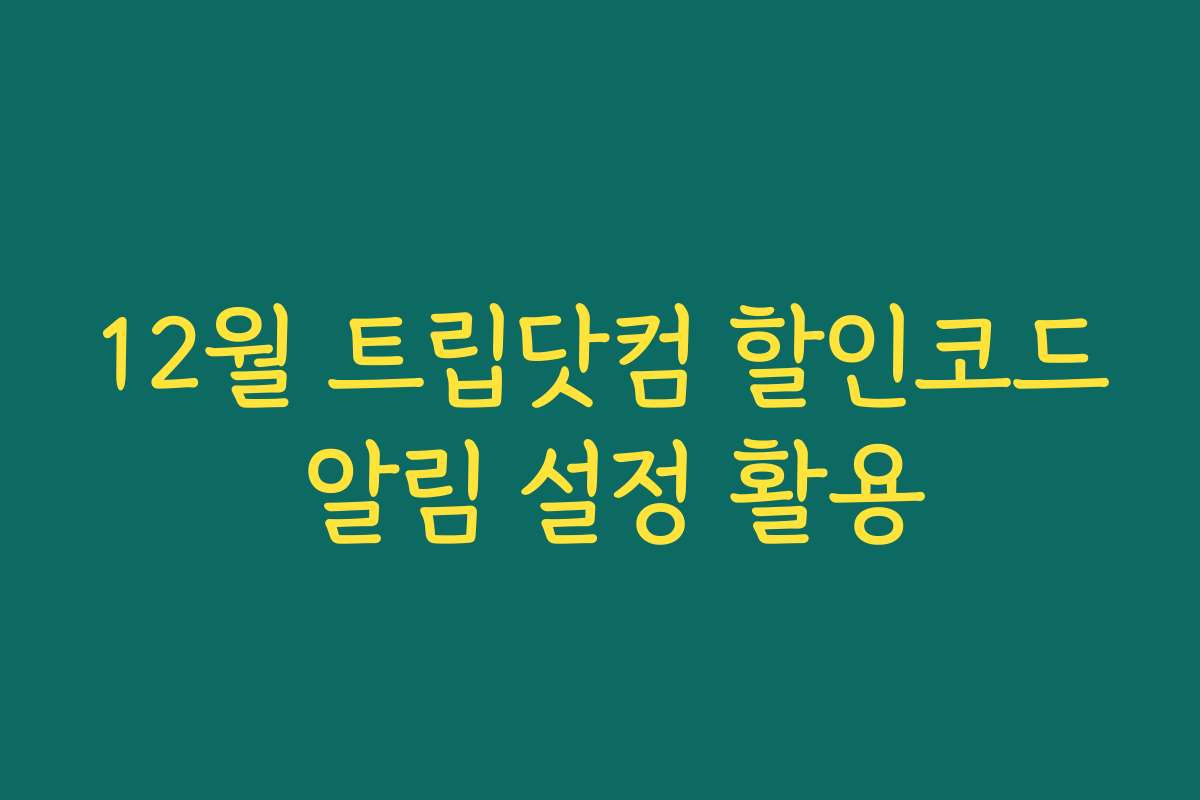 12월 트립닷컴 할인코드 알림 설정 활용