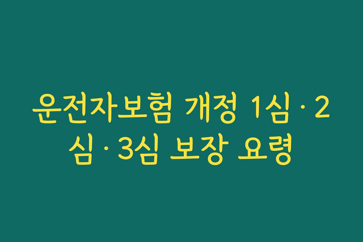 운전자보험 개정 1심·2심·3심 보장 요령