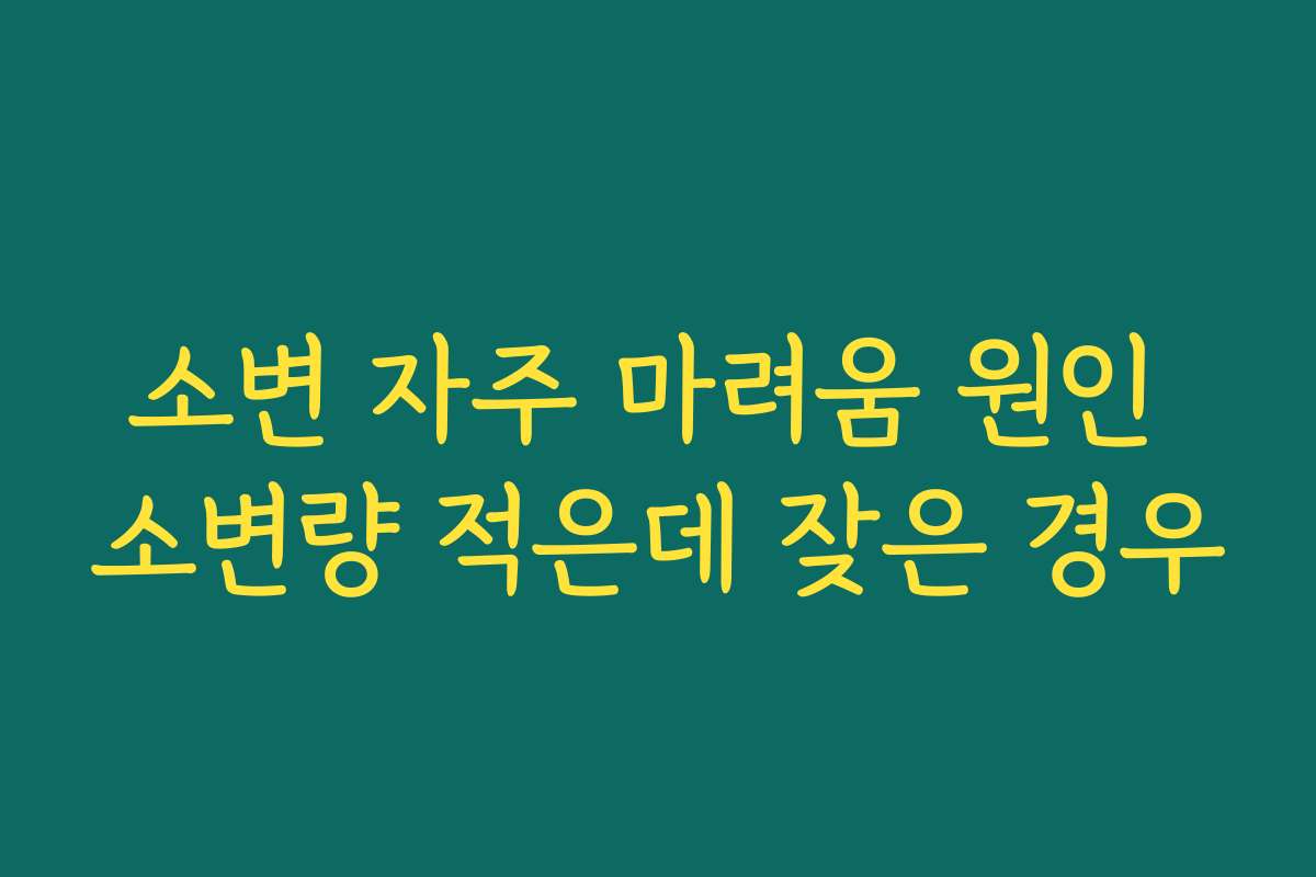 소변 자주 마려움 원인 소변량 적은데 잦은 경우